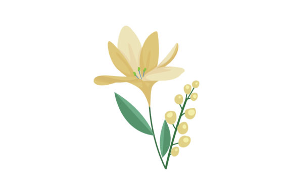Embracing Nature's Elegance: The Versatility of Boho Color Floral Plant Illustration-17