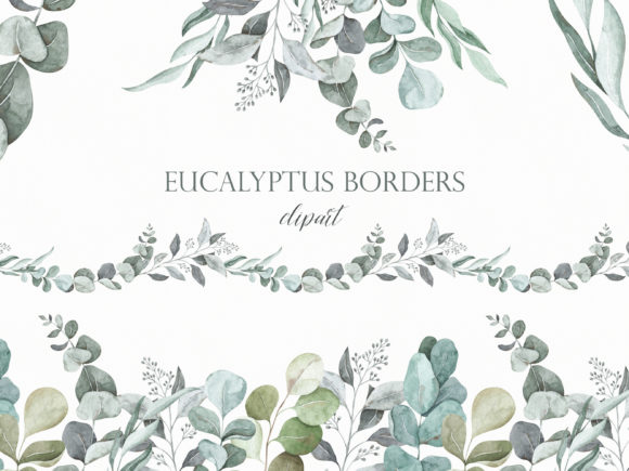 Eucalyptus Borders Clipart for Creative Projects