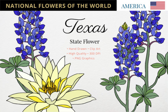 Explore the Beauty of Texas State Flower in Design