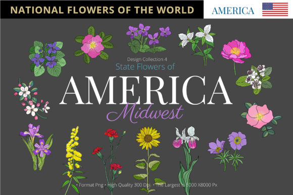 Exploring the State Flowers of America's Midwest