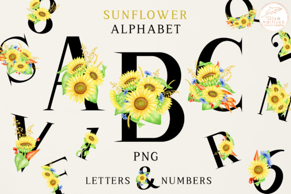 Exploring the Versatility of Sunflower Alphabet. Letters, Numbers PNG for Creative Projects