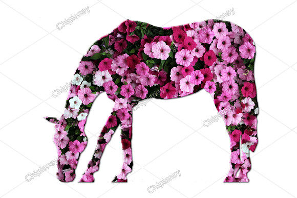 Horse Pony Animal, Flowers Floral: A Versatile Design Gem