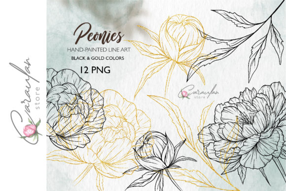 Peony Line Drawings: Elegant and Versatile