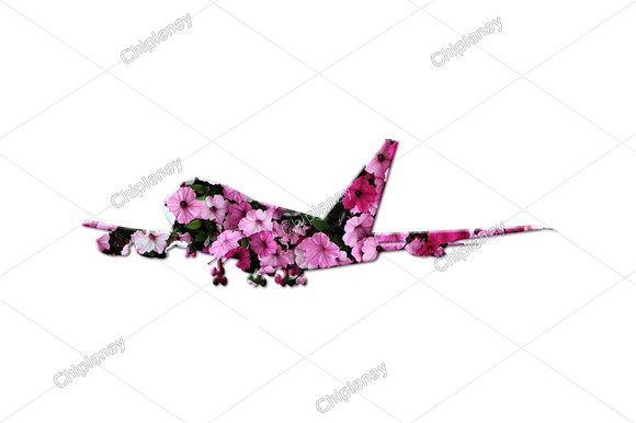 Unleash Creativity with Pilot Plane Airplane Flowers Floral Designs